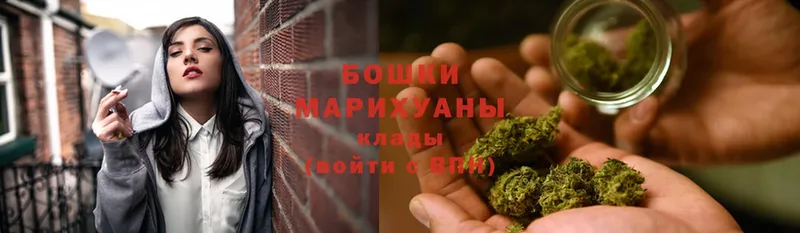 купить наркотики сайты  Починок  Бошки марихуана OG Kush 